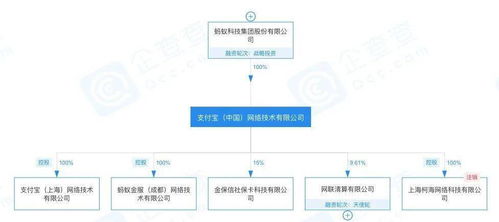 高管更迭背后的戰(zhàn)略調整 螞蟻集團原CEO退出多家公司法人引發(fā)的思考