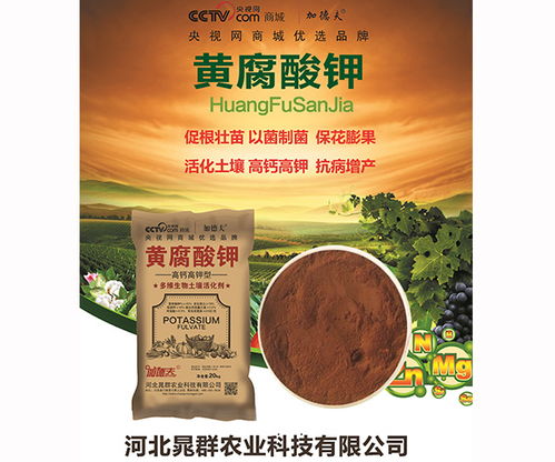 弱堿性生物肥料助力現代農業 河北晁群農業科技的水溶肥創新實踐