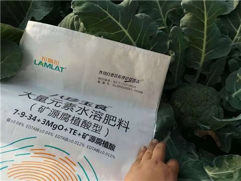 大量元素水溶肥選這樣，讓作物吃飽還吃好，增產提質兩不誤